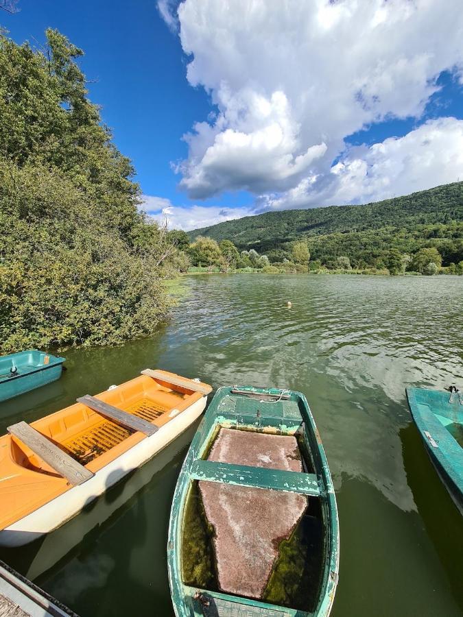 Le Lodge Du Pichat Sainte-Helene-du-Lac Ngoại thất bức ảnh